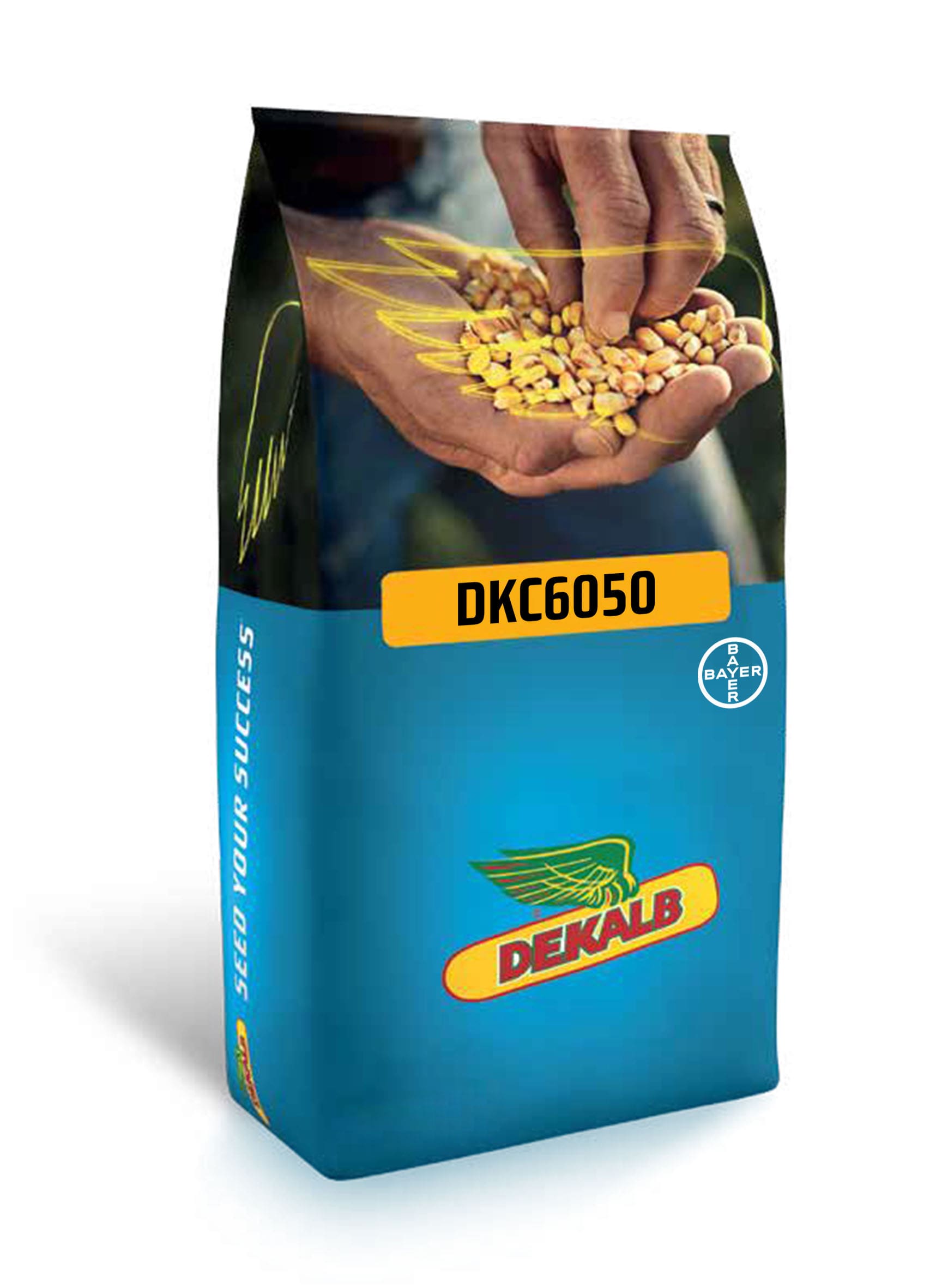 DEKALB 6050