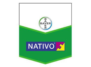 Nativo® WG 75