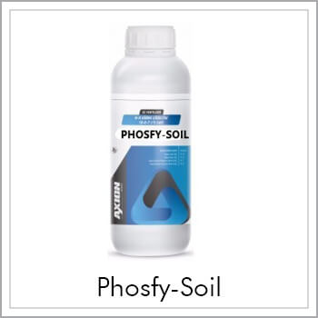 Phosfy-Soil