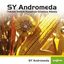 SY ANDROMEDA